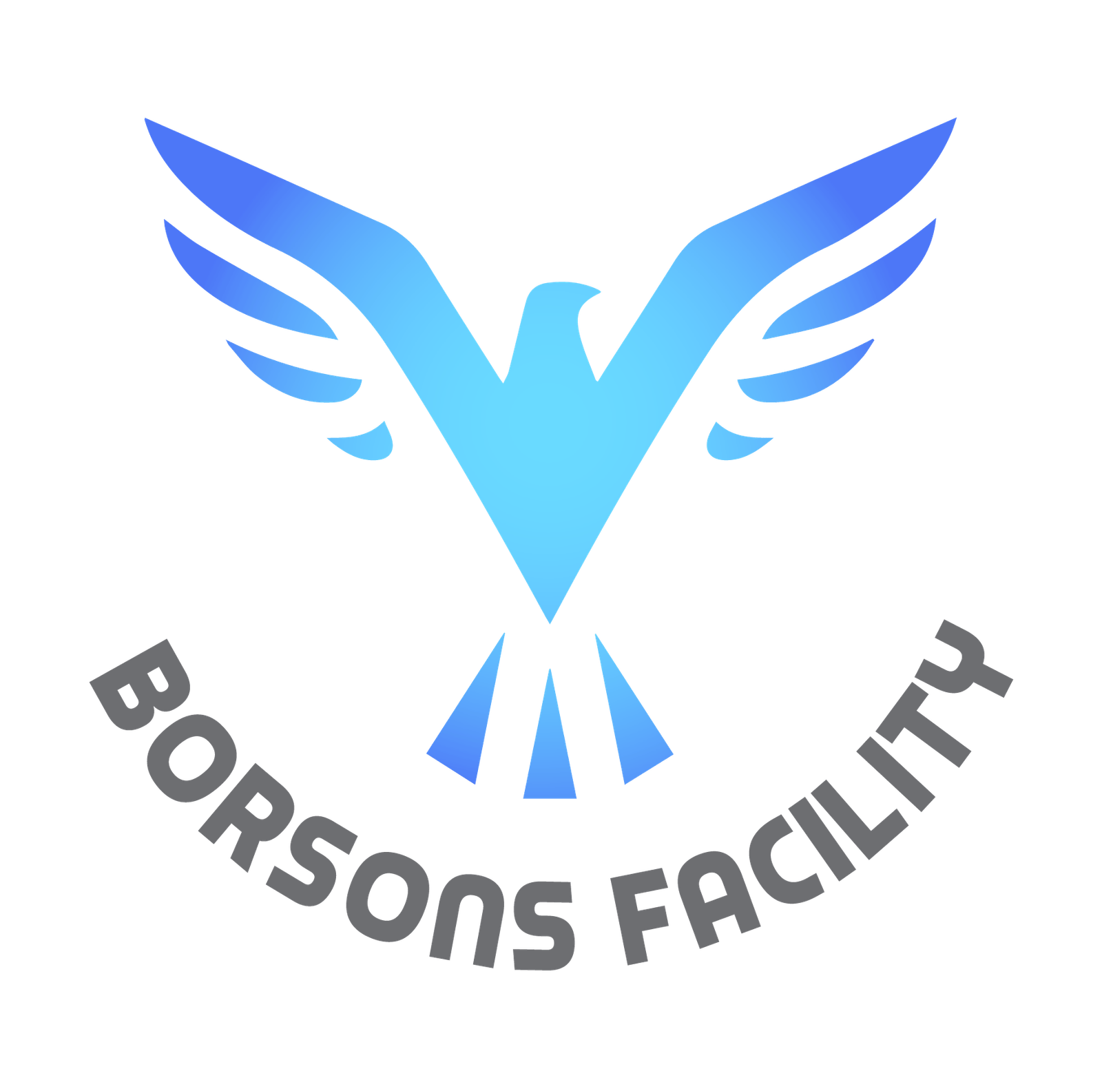 borson-logo